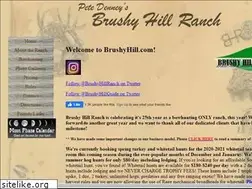 Sites similar to brushyhill.com