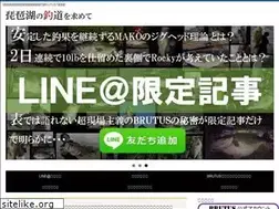 Sites similar to brutus-style.com
