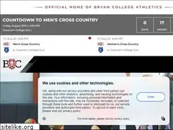 Sites similar to bryanlions.com