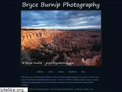 Sites similar to bryceburnip.com