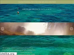 Sites similar to brycegallery.co.nz