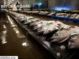Sites similar to brycegroark.com