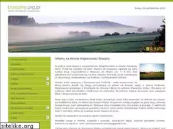 Sites similar to brzeziny.org.pl