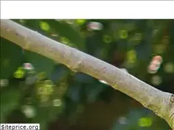 Sites similar to bs-toys.com