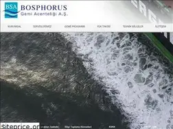 Sites similar to bsa-turkey.com