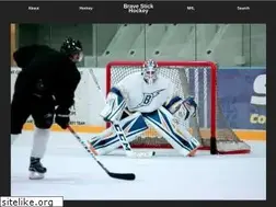 Sites similar to bshockey.com