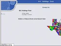 Sites similar to bsholdingstrust.com