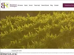 Sites similar to bsnstrategies.com