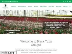 Sites similar to btfgroup.com