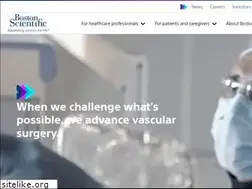 Sites similar to btgvascular.com
