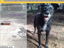 Sites similar to bubbels-hondenuitlaatservice.nl