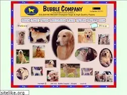 Sites similar to bubble-company.com