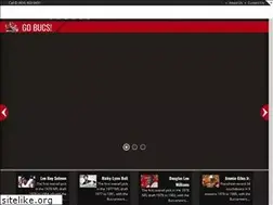 Sites similar to buccaneersfan.com