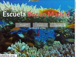 Sites similar to buceomadrid.es
