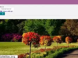 Sites similar to buchel.com.br