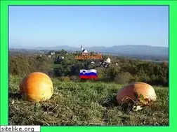 Sites similar to bucka.info