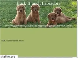 Sites similar to buckbranchlabs.com