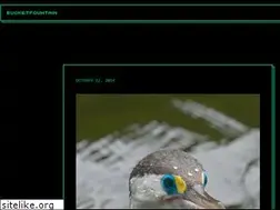 Sites similar to bucketfountain.com