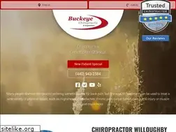 Sites similar to buckeyechiropracticclinic.com