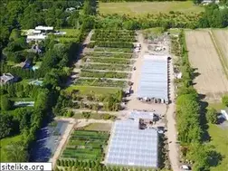 Sites similar to buckleysfarm.com