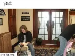 Sites similar to bucksfamilychiropractic.com
