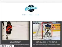 Sites similar to bucksice.com