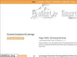Sites similar to buckupauctions.com