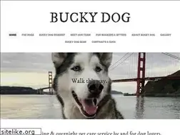 Sites similar to buckyd.com