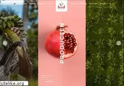 Sites similar to bud.nl