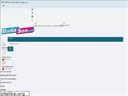Sites similar to budason.com