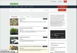 Sites similar to budbay.com