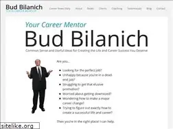 Sites similar to budbilanich.com