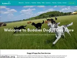 Sites similar to buddiesdoggydaycare.co.uk