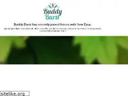 Sites similar to buddyburst.com