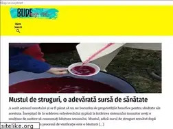 Sites similar to bude.ro