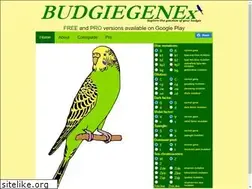 Sites similar to budgiegenex.com