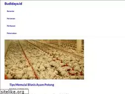 Sites similar to budidaya.id