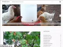 Sites similar to budidayakita.com