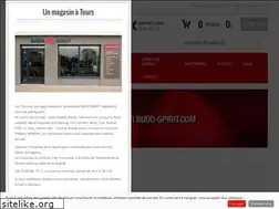 Sites similar to budo-spirit.com