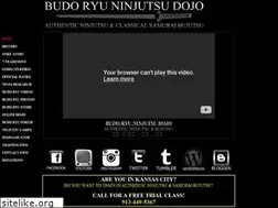 Sites similar to budoryuninjutsu.com