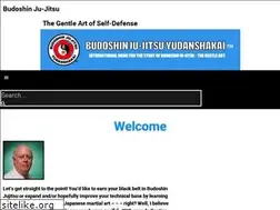 Sites similar to budoshin.com