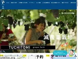 Sites similar to budou-nashi.com