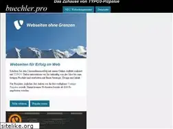 Sites similar to buechler.pro