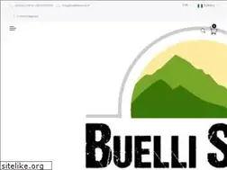 Sites similar to buellistore.com