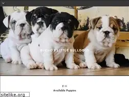 Sites similar to buenoslittlebulldogs.net