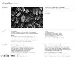 Sites similar to buerokaleschke.de
