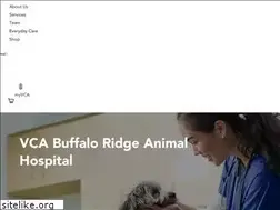 Sites similar to buffaloridgeanimalhospital.com