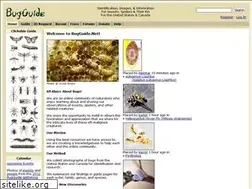 Sites similar to bugguide.net