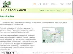 Sites similar to bugsandweeds.co.uk