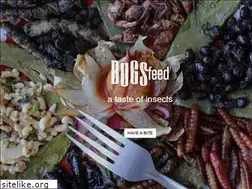 Sites similar to bugsfeed.com